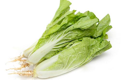 小白菜怎么做?小白菜的简介