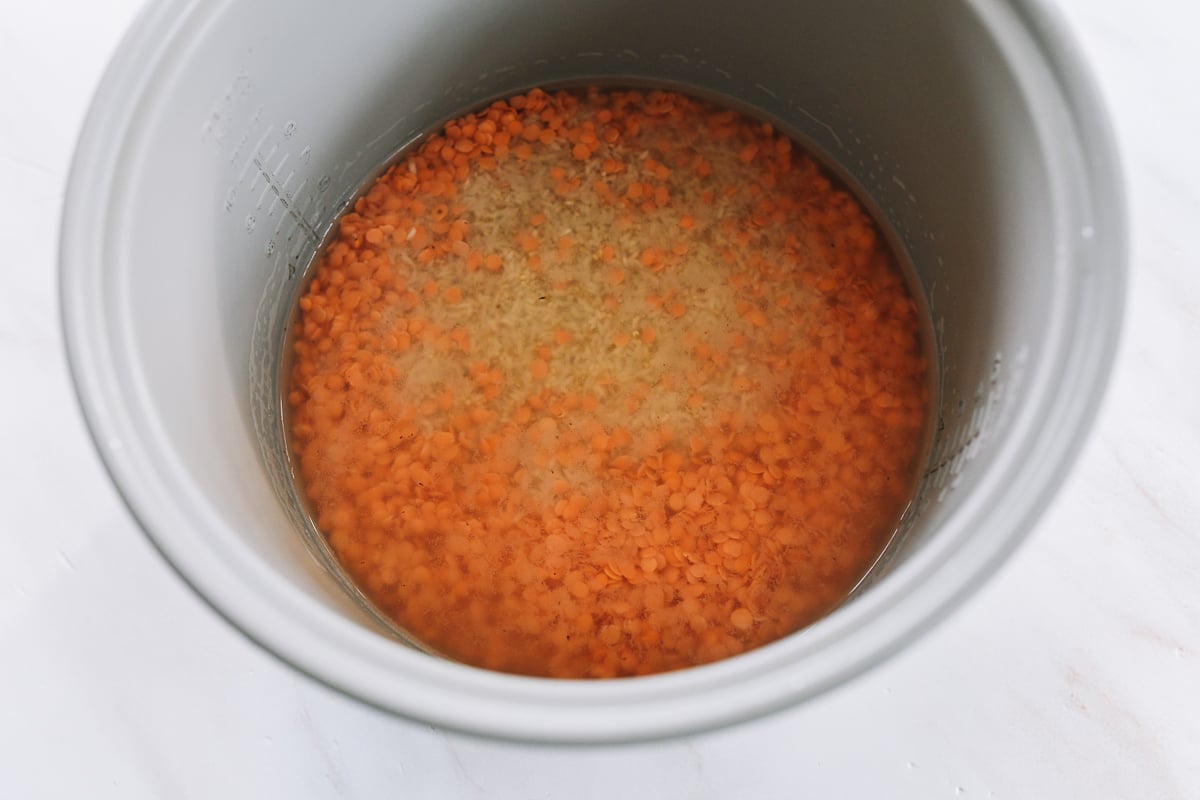 lentils, rice, quinoa, and water in rice cooker pot